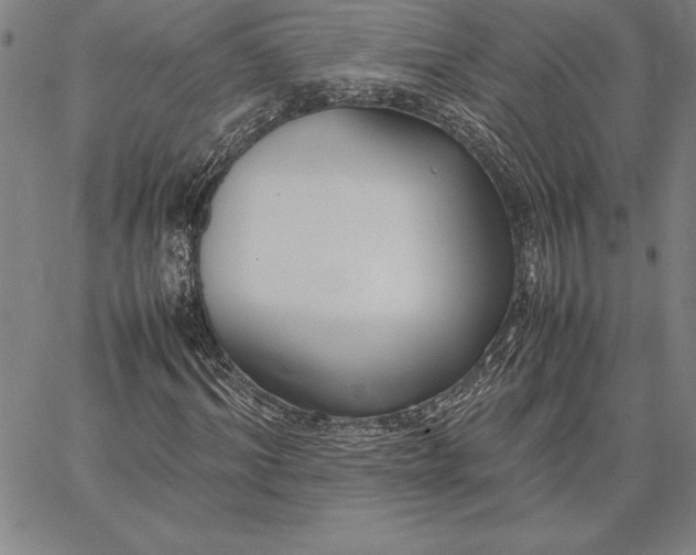 X0000067340964200604131722