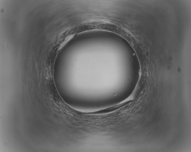 X0000067340965200604131721