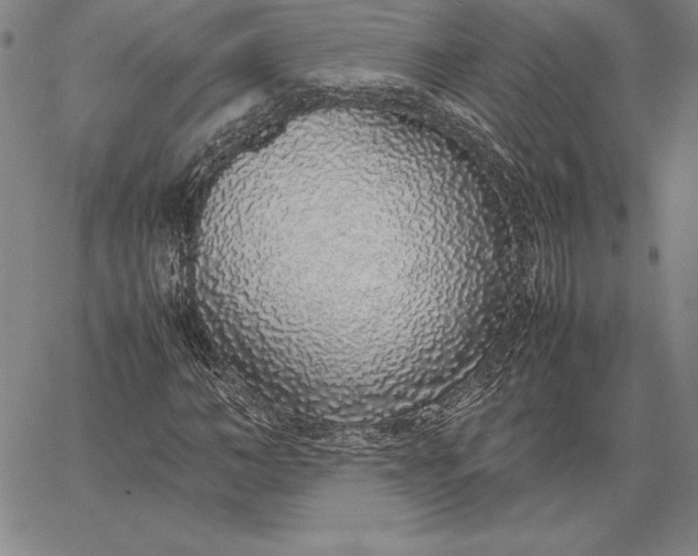 X0000067340966200604131721