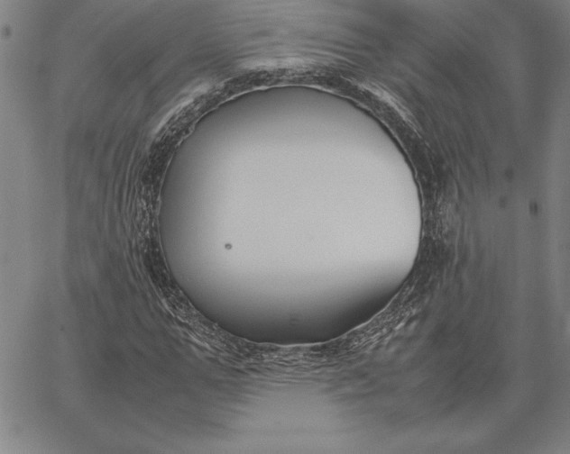 X0000067340967200604131721