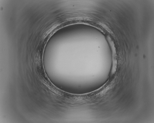 X0000067340969200604131721