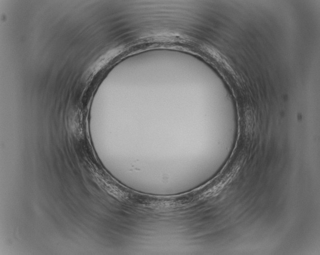 X0000067340970200604131721