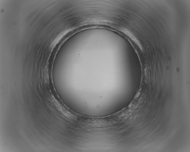 X0000067340972200604131721