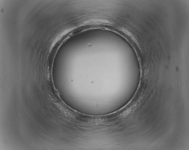 X0000067340973200604131721