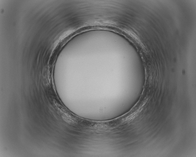 X0000067340974200604131721