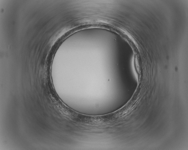 X0000067340975200604131721