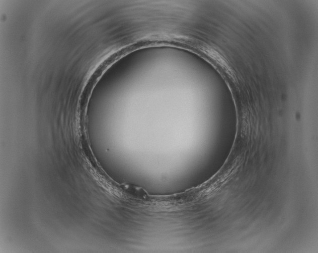 X0000067340976200604131721