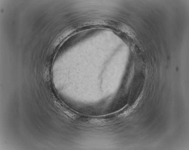 X0000067340977200604131721