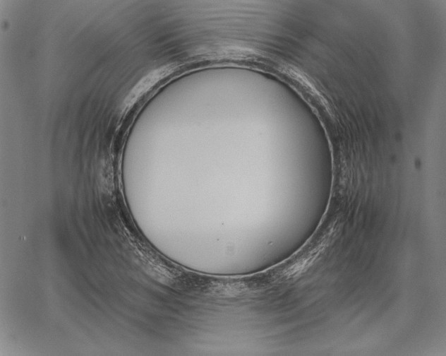 X0000067340978200604131721