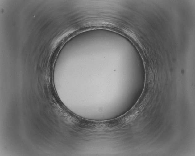 X0000067340979200604131721