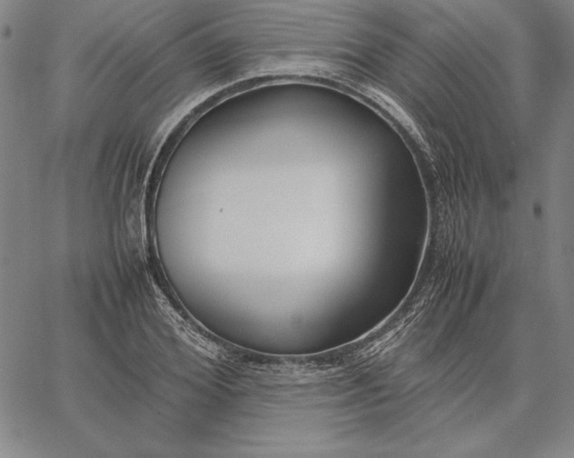 X0000067340980200604131721