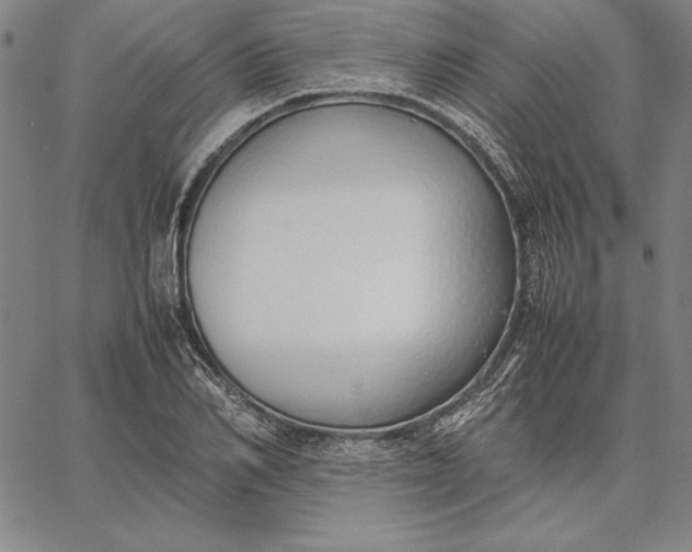 X0000067340982200604131721