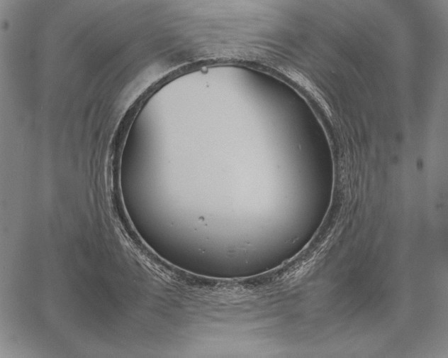 X0000067340983200604131721