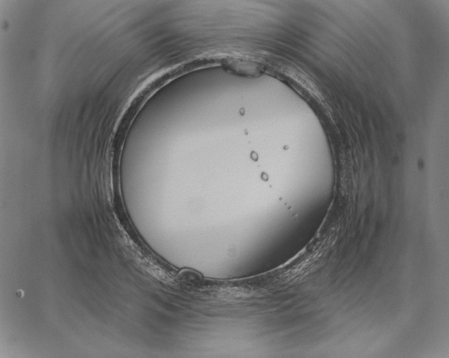 X0000067340984200604131721