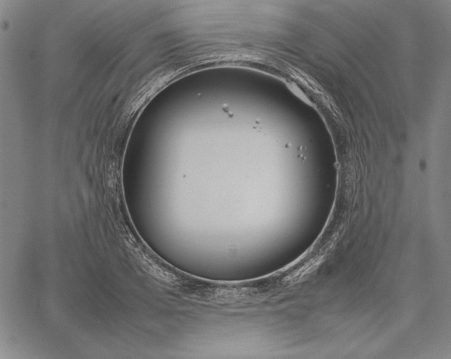 X0000067340985200604131721