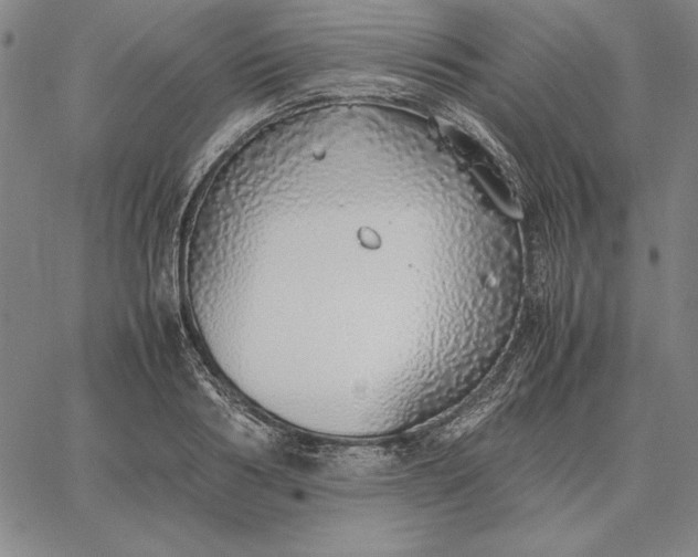 X0000067340986200604131721