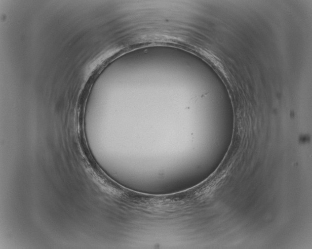 X0000067340987200604131721