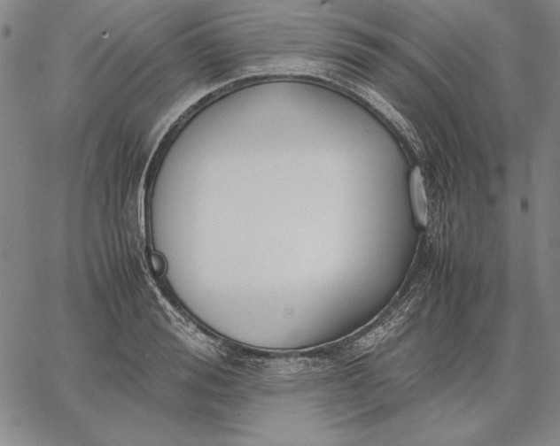 X0000067340988200604131721