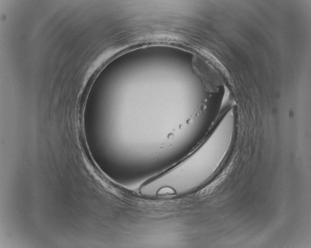 X0000067340989200604131721