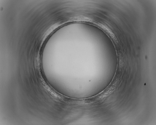 X0000067340990200604131721