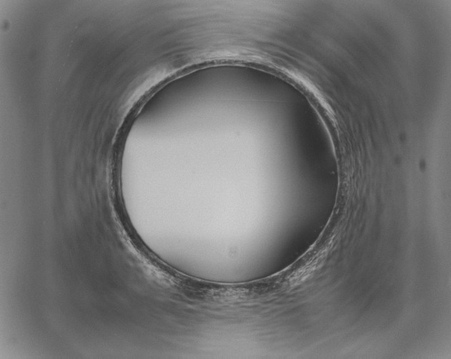 X0000067340991200604131721