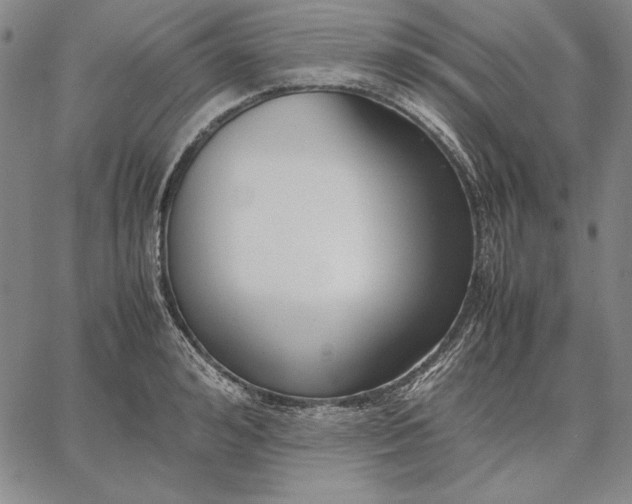 X0000067340992200604131721