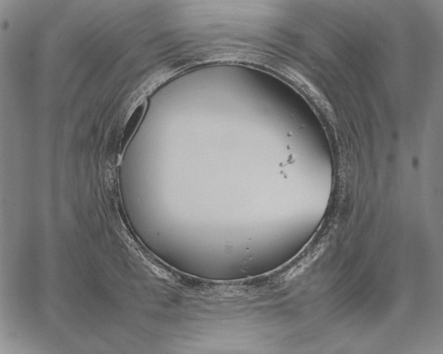 X0000067340993200604131721