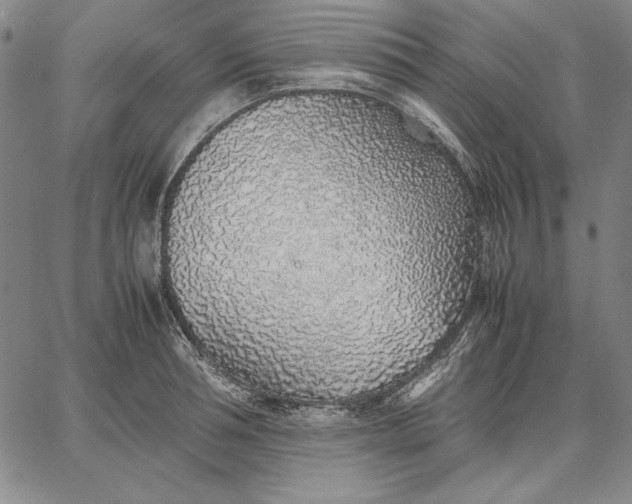 X0000067340994200604131721