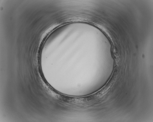 X0000067340995200604131721