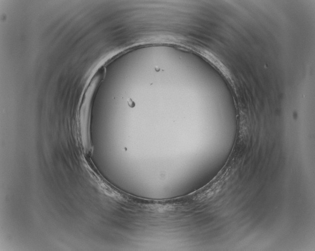 X0000067340996200604131721