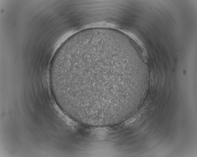 X0000067340998200604131721