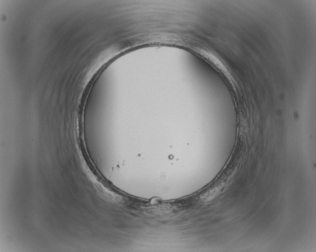 X0000067340999200604131721