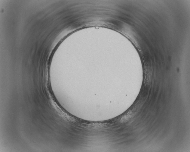 X0000067341000200604131721