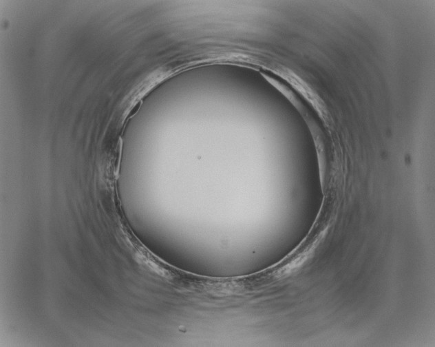 X0000067341001200604131721