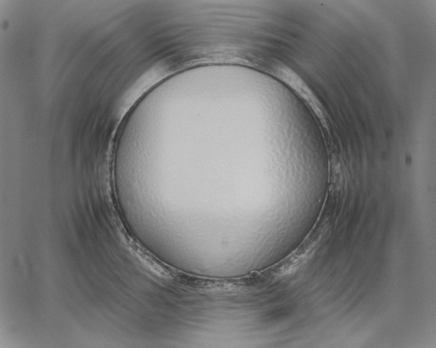 X0000067341002200604131721