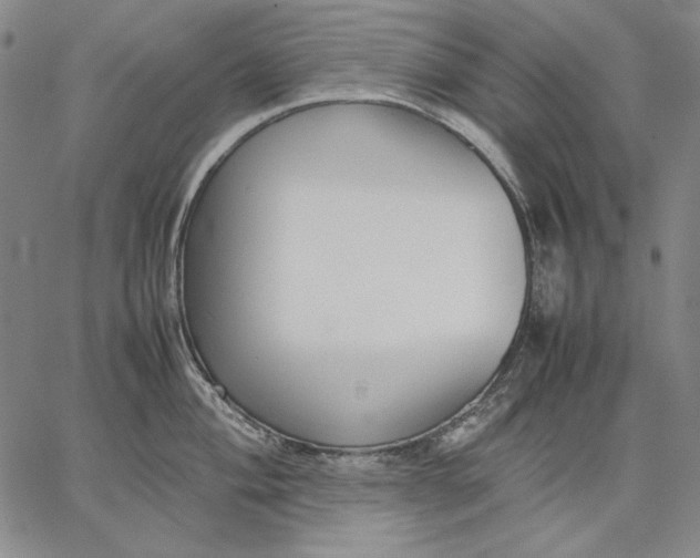 X0000067341004200604131721