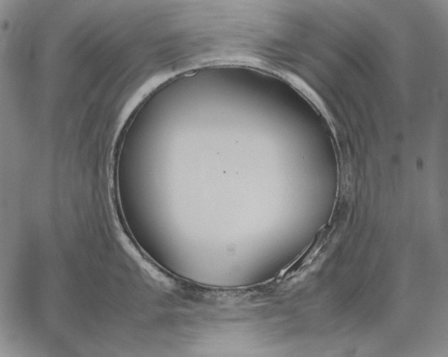 X0000067341005200604131721