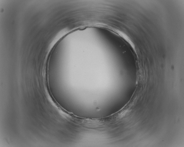 X0000067341007200604131721