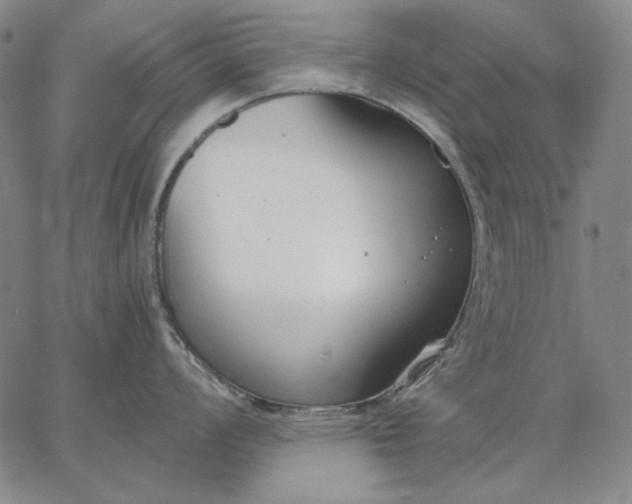 X0000067341008200604131721