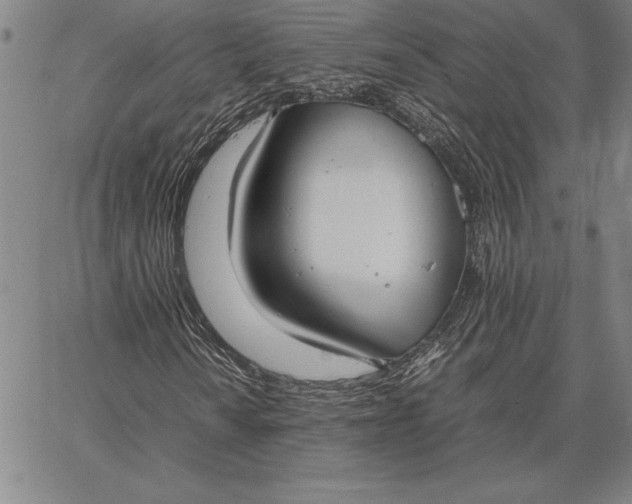 X0000067341010200604131720