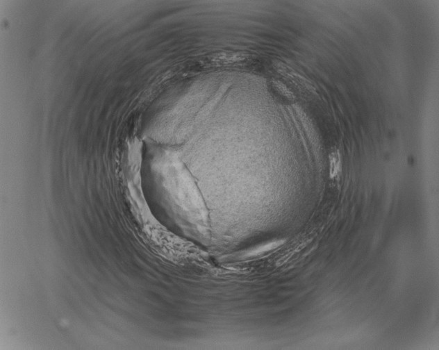 X0000067341011200604131720