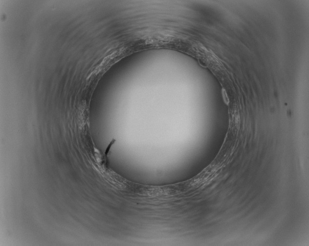 X0000067341012200604131720