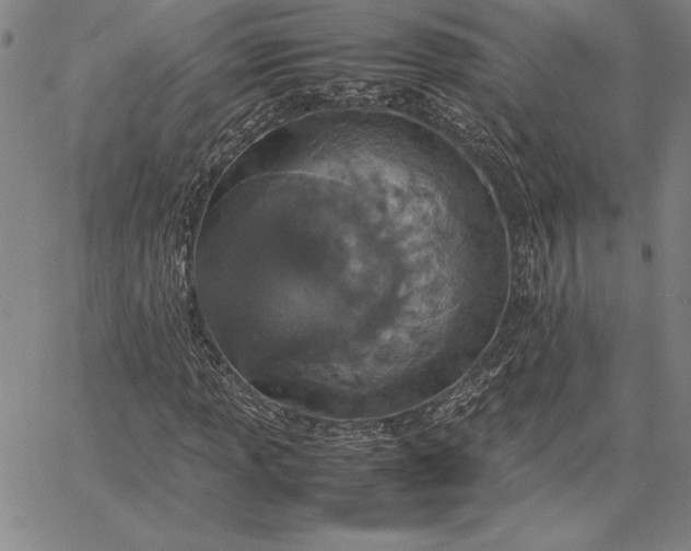 X0000067341013200604131720