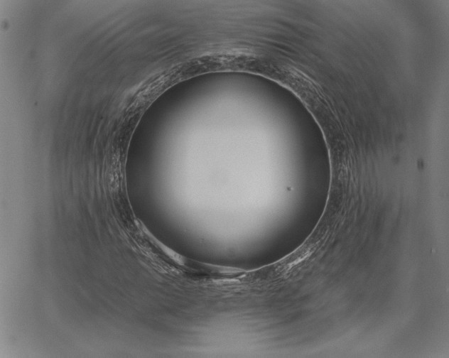 X0000067341014200604131720