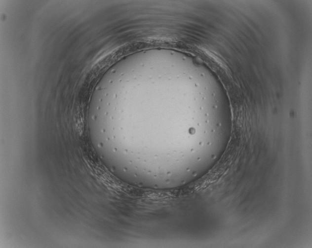 X0000067341015200604131720