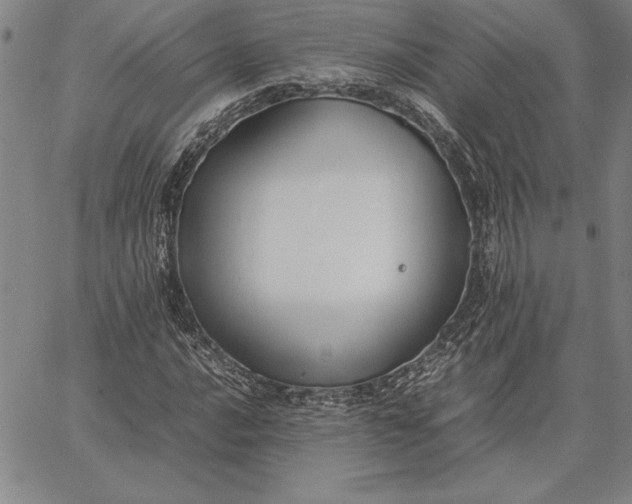 X0000067341016200604131720