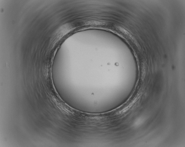 X0000067341017200604131720