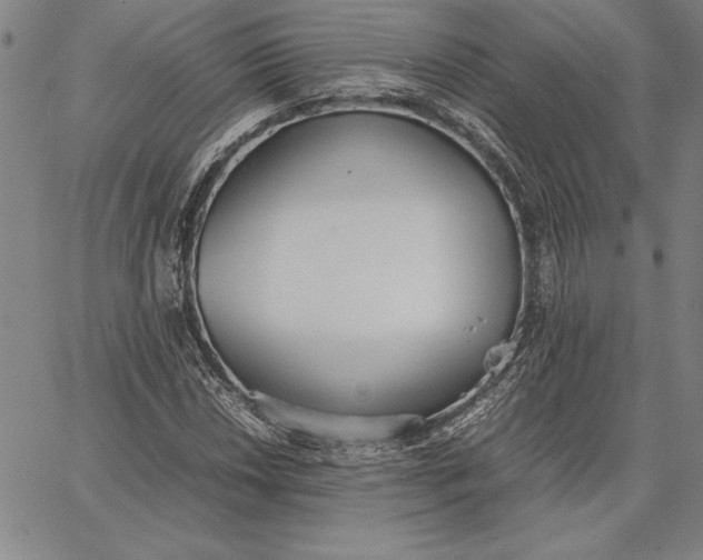 X0000067341018200604131720