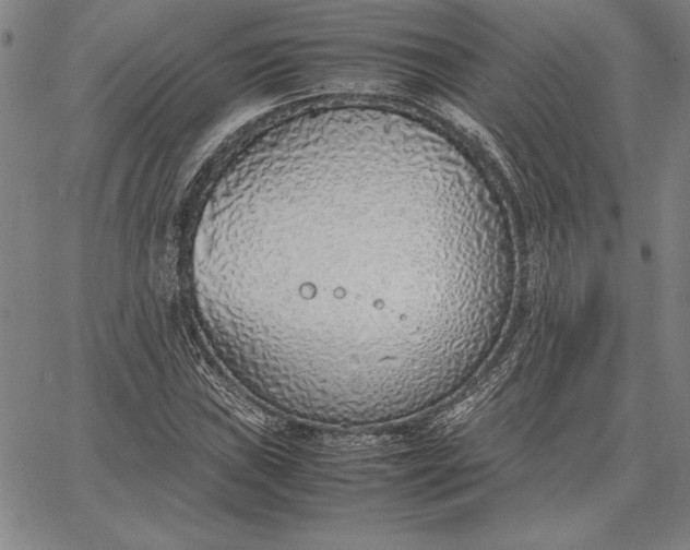 X0000067341019200604131720