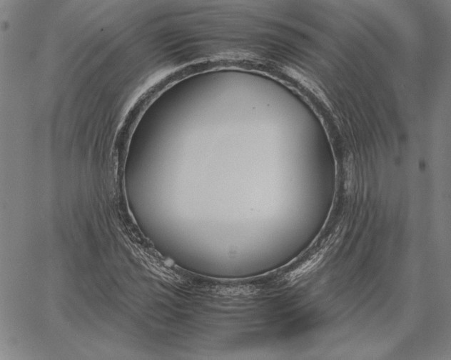 X0000067341021200604131720